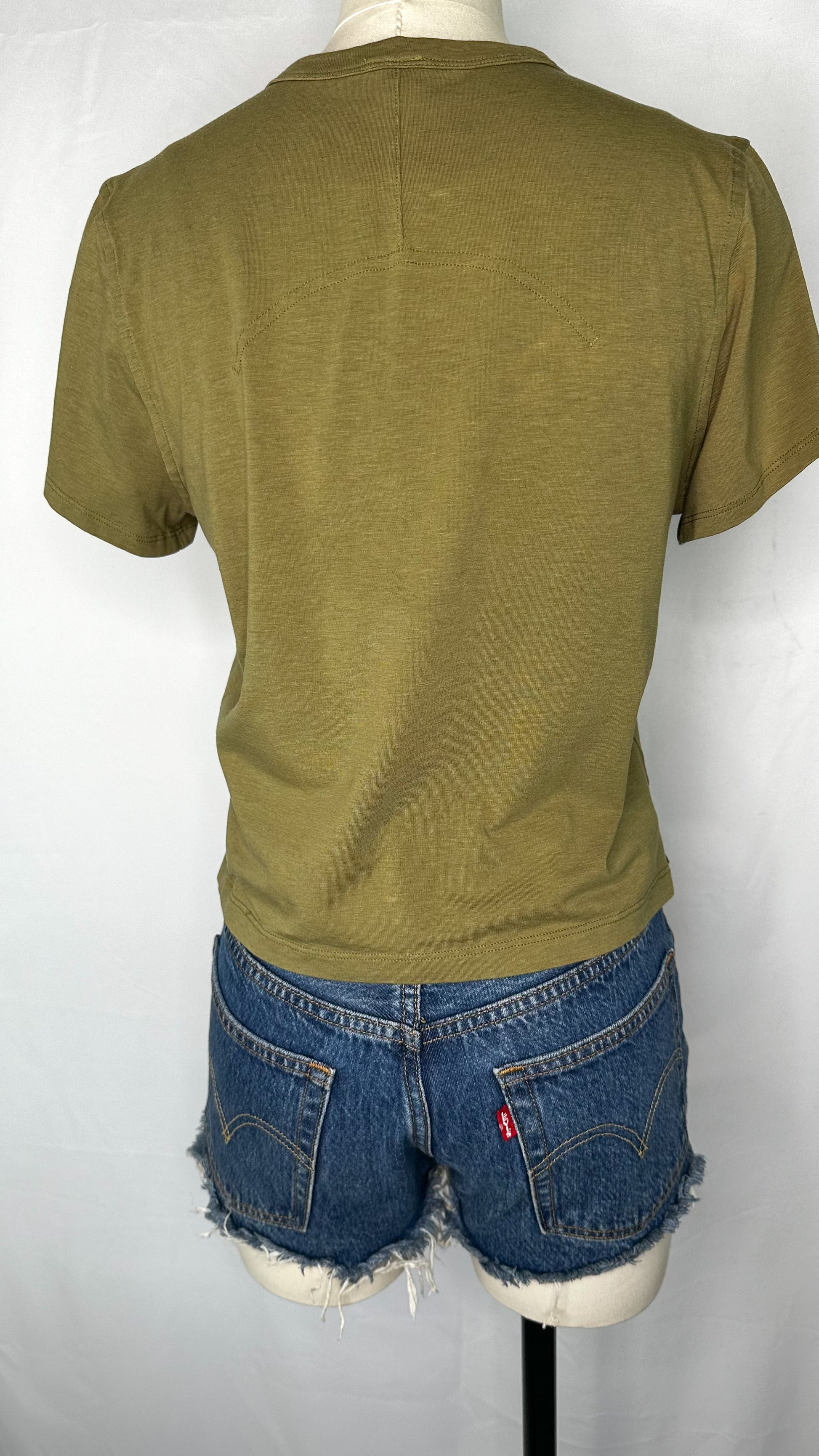 Back View of Lululemon Classic Fit Cotton Blend T-Shirt in Bronze Green size 4